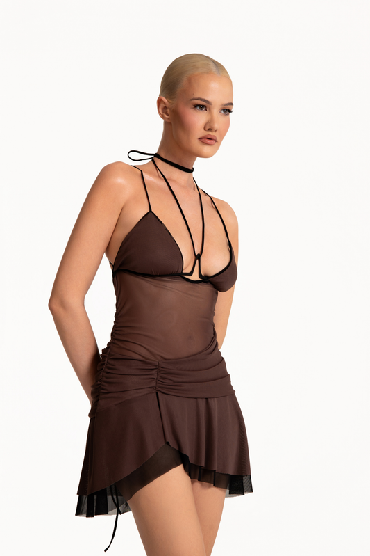 Roxy mini dress in brown