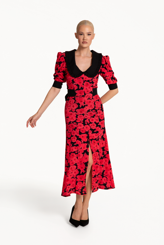 Sasha Dress