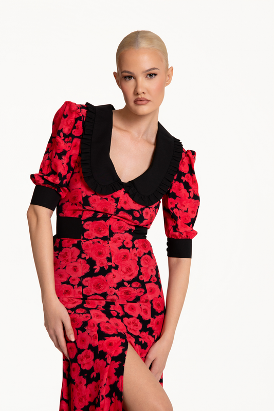 Sasha Dress